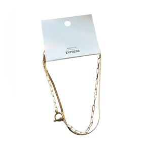 Express Gold Dual Chain Necklace
